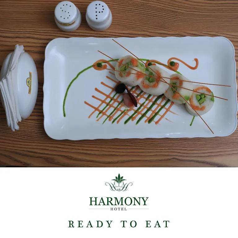 אדיס אבבה Harmony Hotel 4*, אדיס אבבה